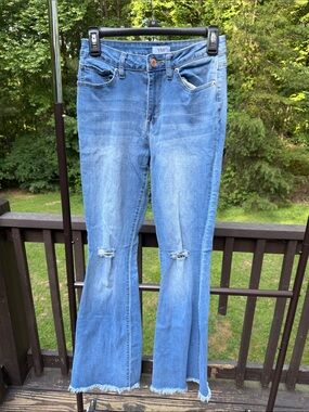 YMI Light Blue Distressed Flare Jeans
